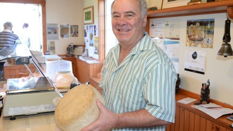 Le Meilleur Fromage Du Québec Vient De Sainte Sophie Journal Le Nord 