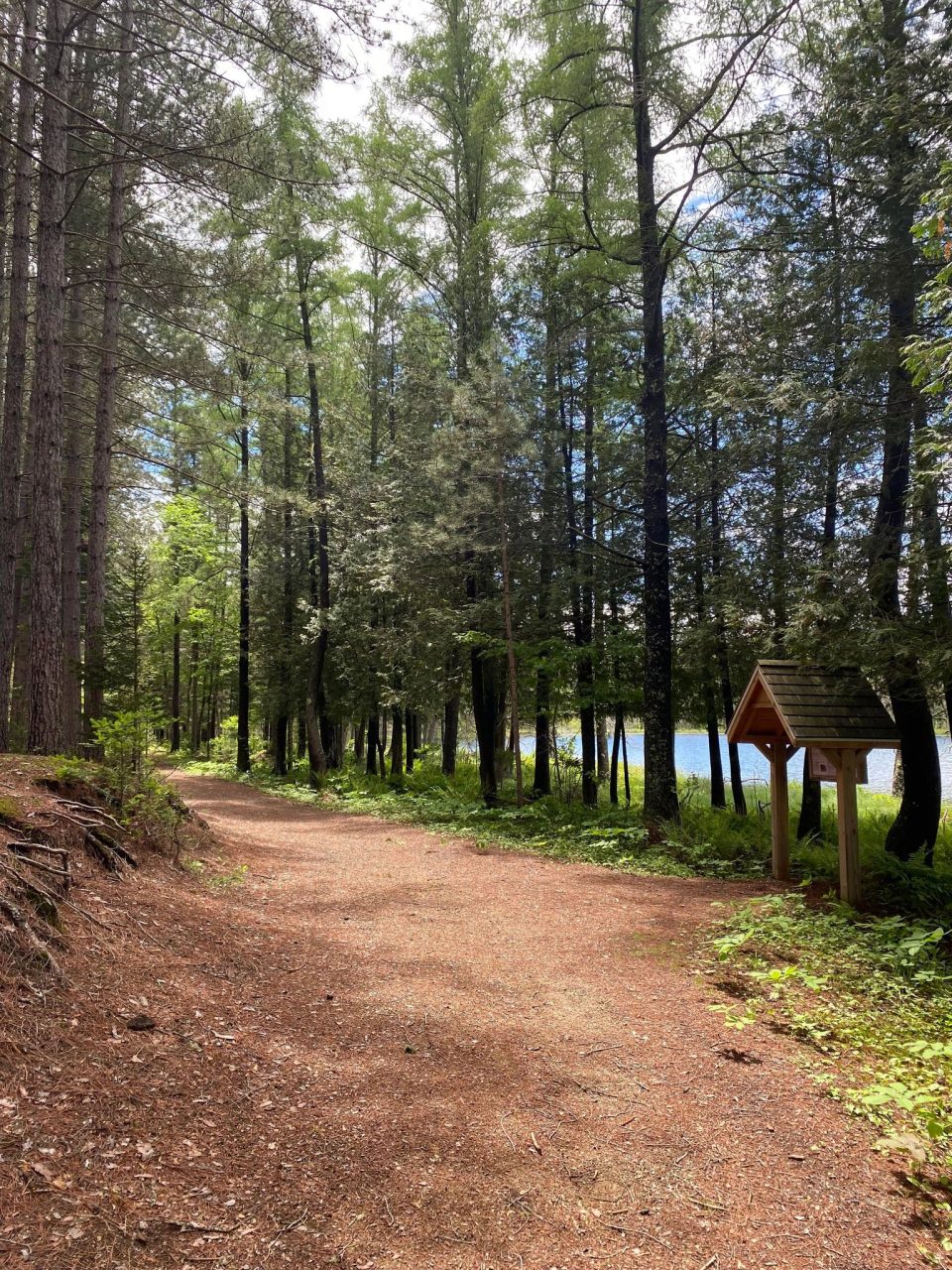 Le sentier Contre-Courant longe la rivière du Diable au Domaine Saint-Bernard.